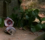 SPN_0238.jpg