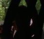 SPN_0252.jpg