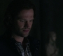 SPN_0280.jpg