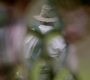 SPN_0363.jpg