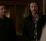 SPN_0404.jpg