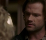 SPN_0461.jpg
