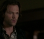 SPN_0479.jpg