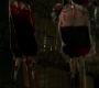 SPN_0491.jpg