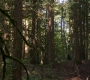 SPN_0682.jpg