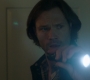 SPN_1139.jpg