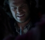 SPN_1172.jpg
