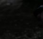 SPN_1232.jpg