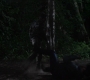 SPN_1235.jpg