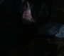 SPN_1238.jpg