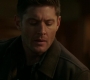 SPN_1521.jpg