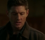 SPN_1532.jpg