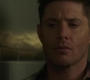 SPN_0079.jpg