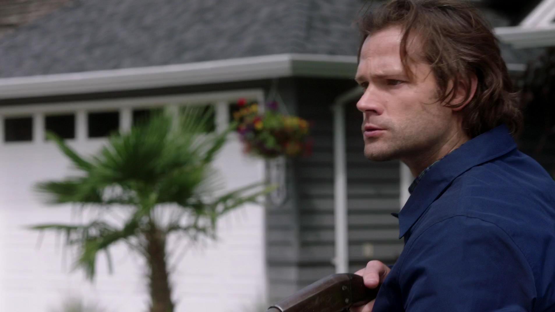 SPN_1638.jpg