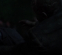 SPN_0054.jpg