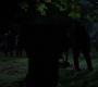 SPN_0068.jpg