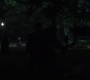SPN_0082.jpg