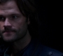 SPN_0520.jpg
