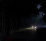 SPN_0785.jpg
