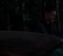 SPN_0811.jpg