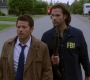 SPN_1108.jpg