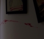 SPN_1154.jpg