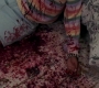 SPN_1173.jpg