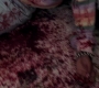 SPN_1175.jpg