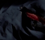 SPN_1261.jpg