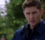 SPN_1315.jpg