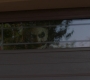 SPN_1479.jpg