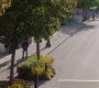 SPN_1489.jpg