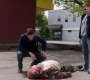 SPN_1533.jpg