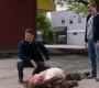 SPN_1534.jpg