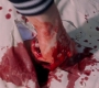 SPN_1540.jpg