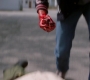 SPN_1541.jpg