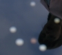 SPN_1558.jpg