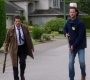 Filename=SPN_1586.jpg
Filesize=166KiB
Dimensions=1906x1072
Date added=Sep 30, 2021 SPN_1586.jpg