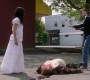 Filename=SPN_1645.jpg
Filesize=239KiB
Dimensions=1906x1072
Date added=Sep 30, 2021 SPN_1645.jpg