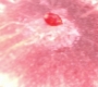 Filename=SPN_1814.jpg
Filesize=86KiB
Dimensions=1906x1072
Date added=Sep 30, 2021 SPN_1814.jpg