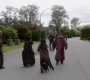 Filename=SPN_1857.jpg
Filesize=248KiB
Dimensions=1906x1072
Date added=Sep 30, 2021 SPN_1857.jpg