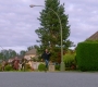Filename=SPN_1864.jpg
Filesize=172KiB
Dimensions=1906x1072
Date added=Sep 30, 2021 SPN_1864.jpg
