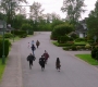 Filename=SPN_1869.jpg
Filesize=256KiB
Dimensions=1906x1072
Date added=Sep 30, 2021 SPN_1869.jpg