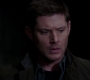 SPN_0140.jpg