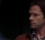 SPN_0782.jpg