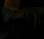 Filename=SPN_0899.jpg
Filesize=52KiB
Dimensions=1912x1072
Date added=Sep 30, 2021 SPN_0899.jpg