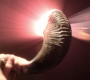 SPN_1210.jpg