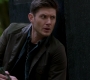 SPN_1216.jpg