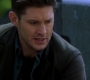 SPN_1242.jpg