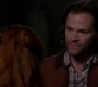 SPN_1450.jpg